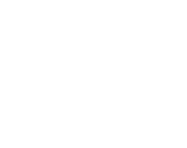 Petrova Solutions